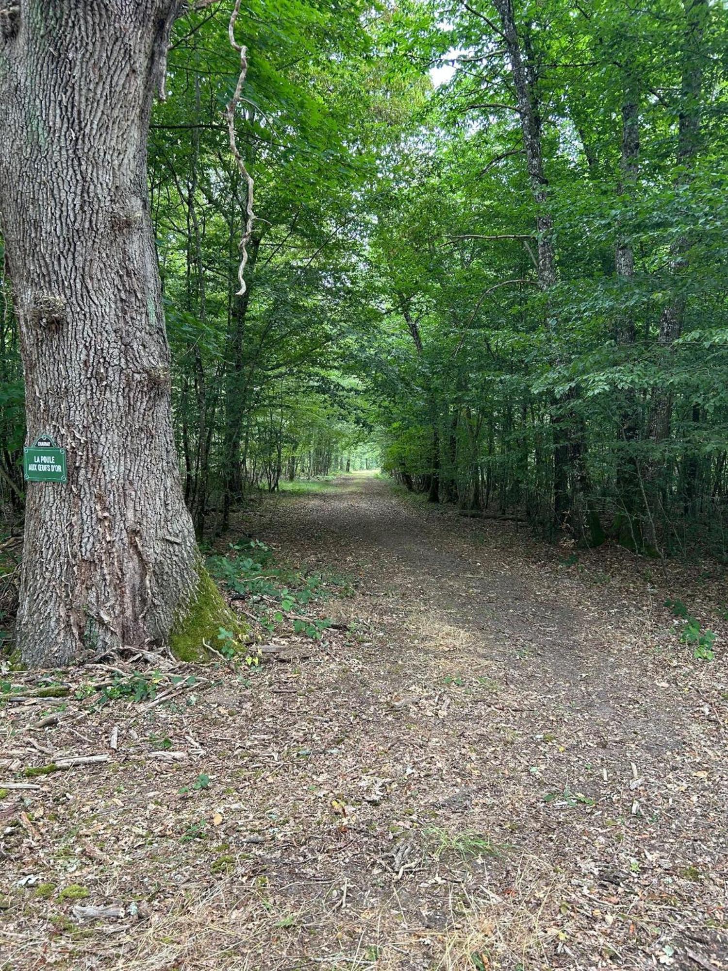 Les Chambres De Charnay - Calme Charme Et Confort A 5 Mn Du Peage Vierzon Kültér fotó