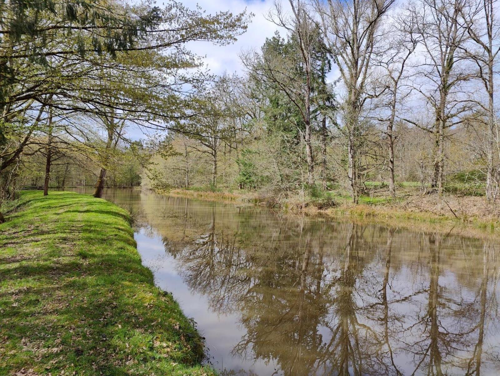 Domaine De Charnay - Charme Et Confort Dans Un Environnement D'Exception Vierzon Kültér fotó