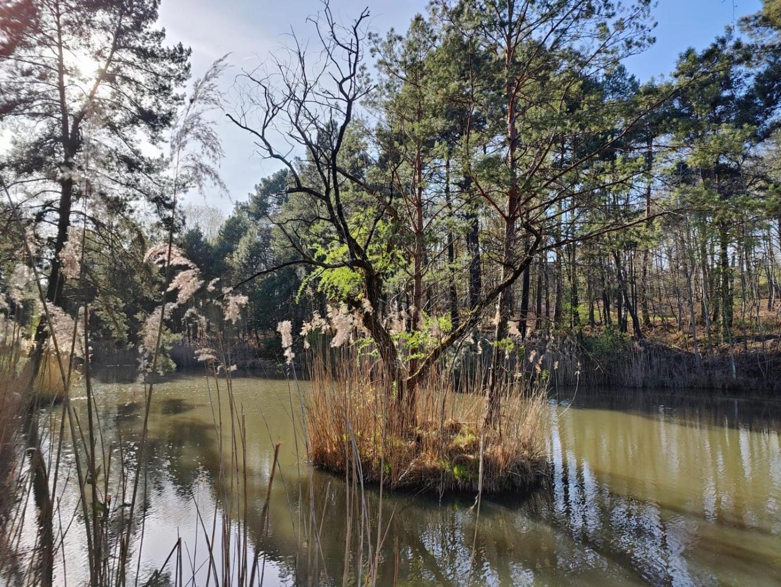 Les Chambres De Charnay - Calme Charme Et Confort A 5 Mn Du Peage Vierzon Kültér fotó