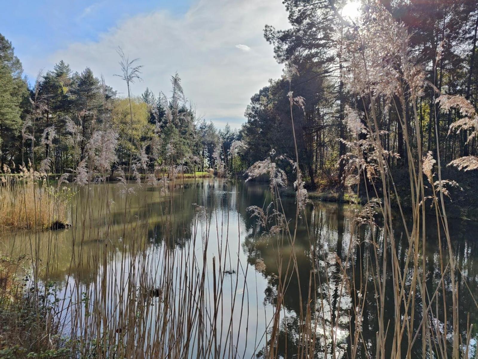 Domaine De Charnay - Charme Et Confort Dans Un Environnement D'Exception Vierzon Kültér fotó